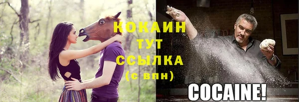 ГАЛЛЮЦИНОГЕННЫЕ ГРИБЫ Абаза