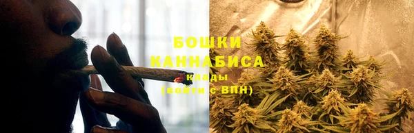 ГАЛЛЮЦИНОГЕННЫЕ ГРИБЫ Абаза
