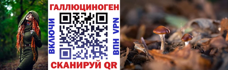 наркотики  Балаково  Галлюциногенные грибы мицелий 